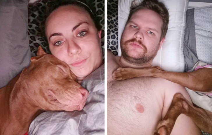 Как кучето спи с всеки от нас 