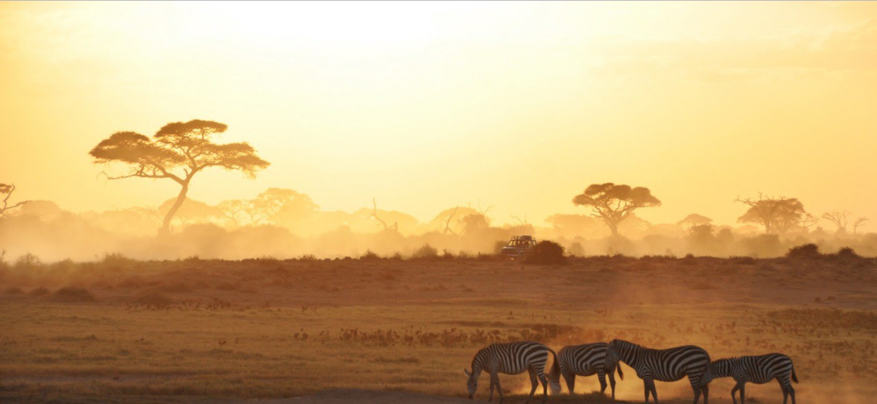 Национален парк Амбосели, Кения