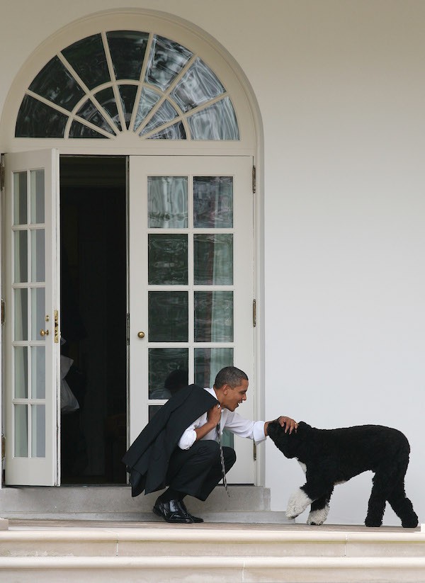 Барак Обама и Бо