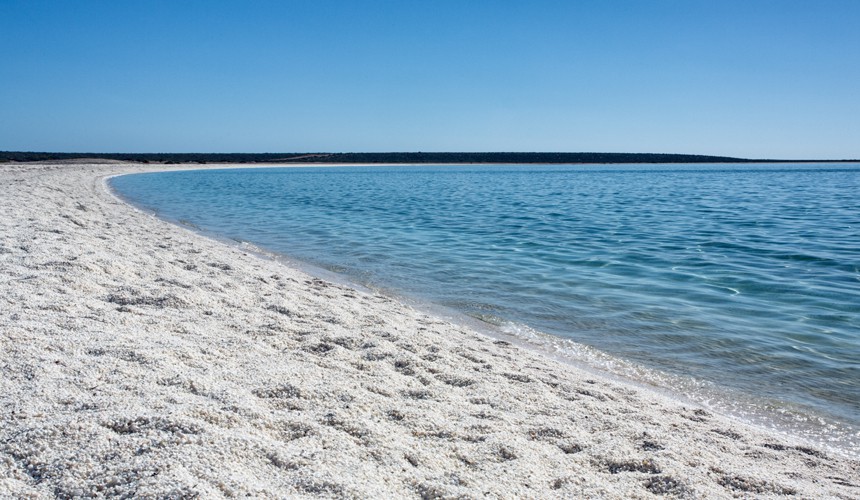 Shell beach, Австралия
