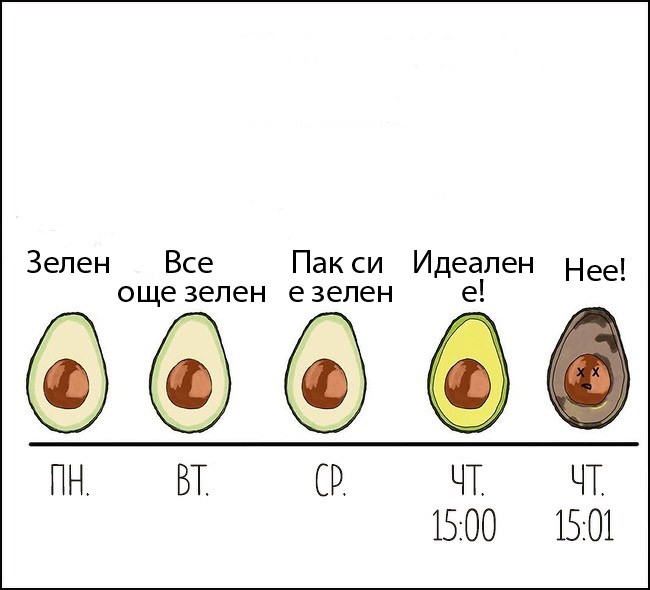 Ежедневието на всяка жена