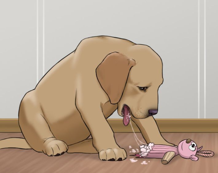Кучето изяжда играчките си