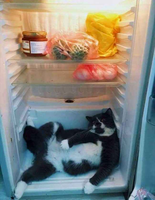 Крадец в хладилника