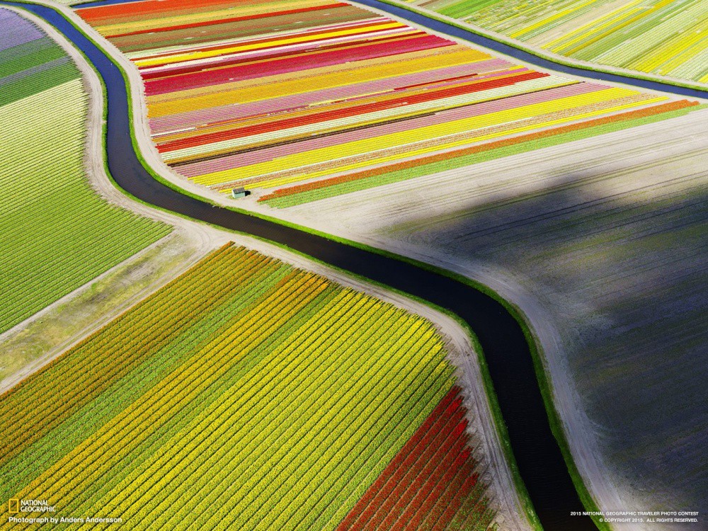 Цветно море, Холандия