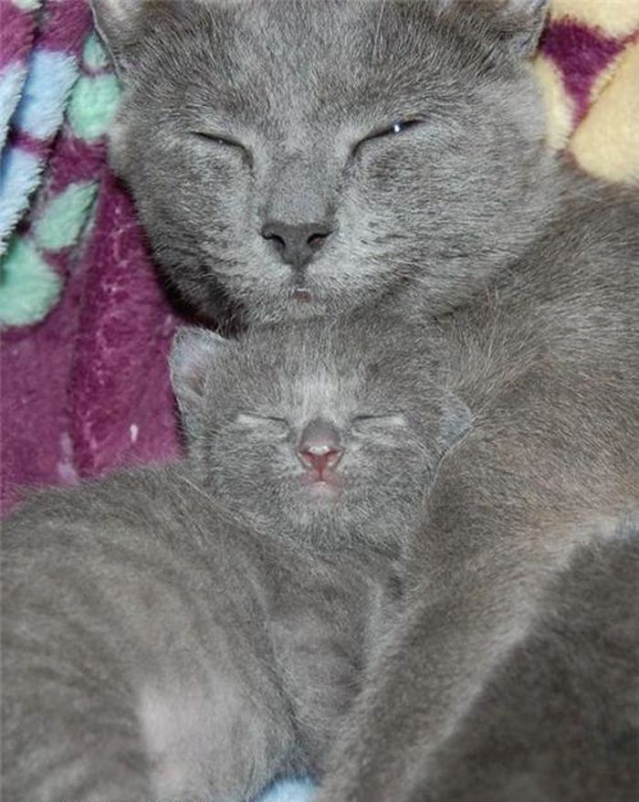 Очарователни мама и бебе
