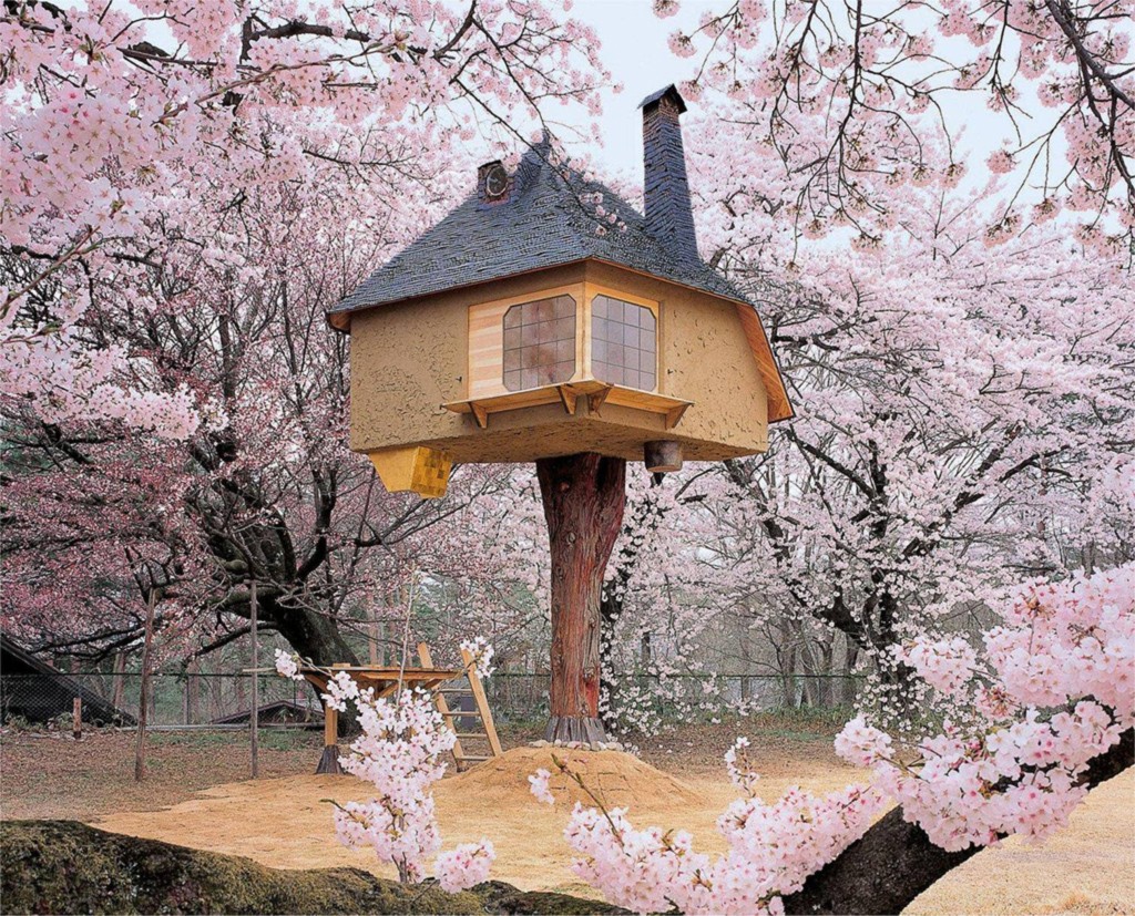  Чаената къща в Япония