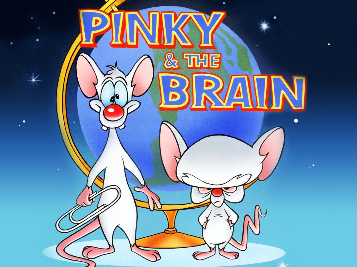 Пинки и мозъкът