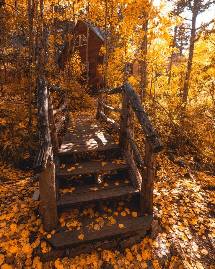 Магията на есента