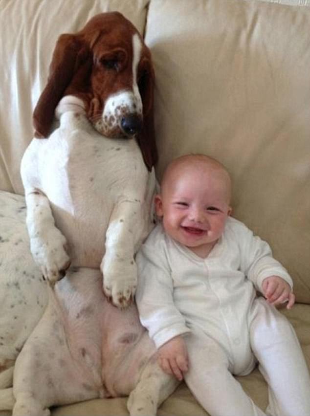 Снимки на бебета и техните кучета