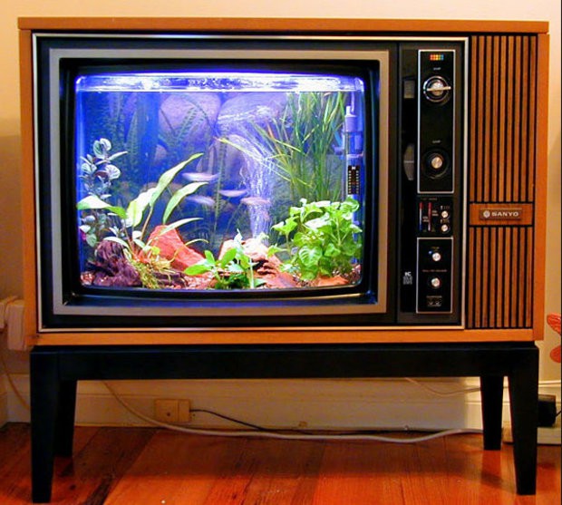 Телевизор, превърнат в аквариум