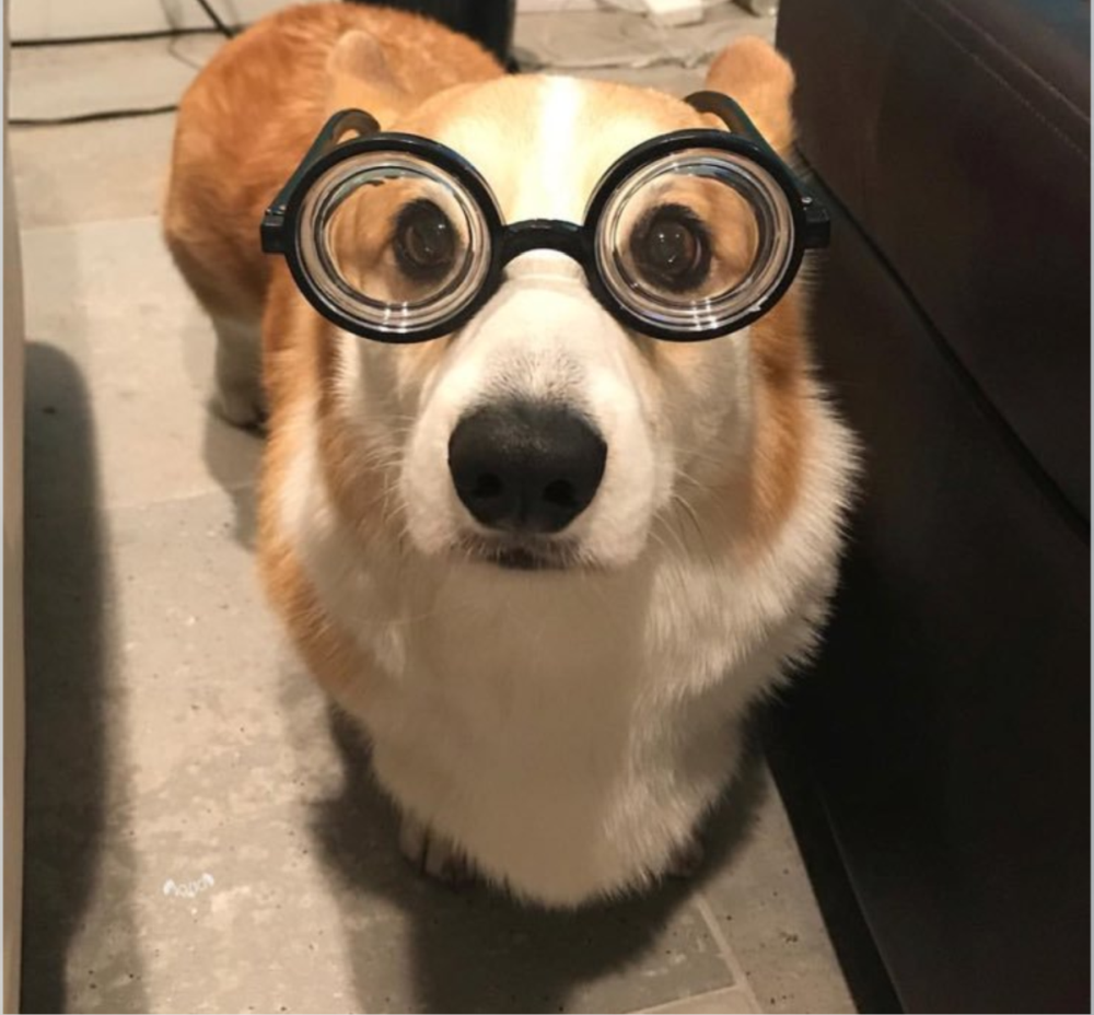 Очилата правят ли ме по-умен?