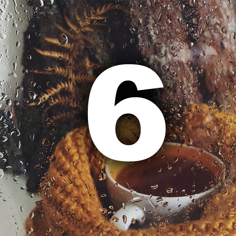 Ноември ти носи