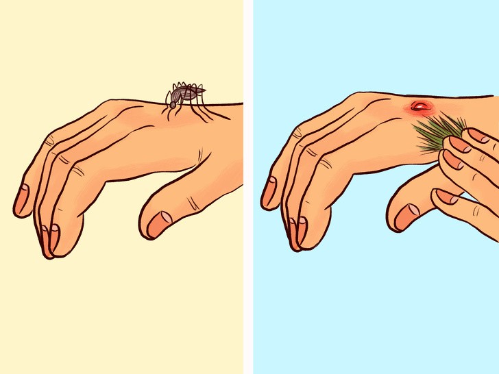 Как да предотвратим ухапване от комар