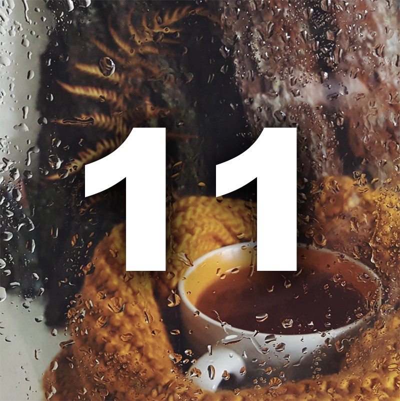 Ноември ти носи