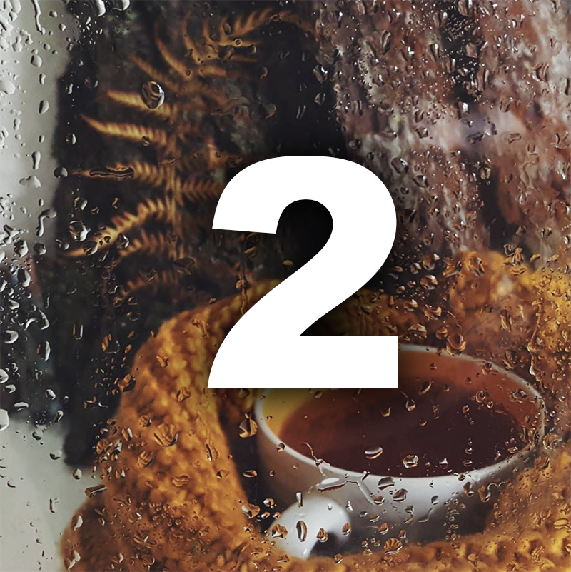 Ноември ти носи