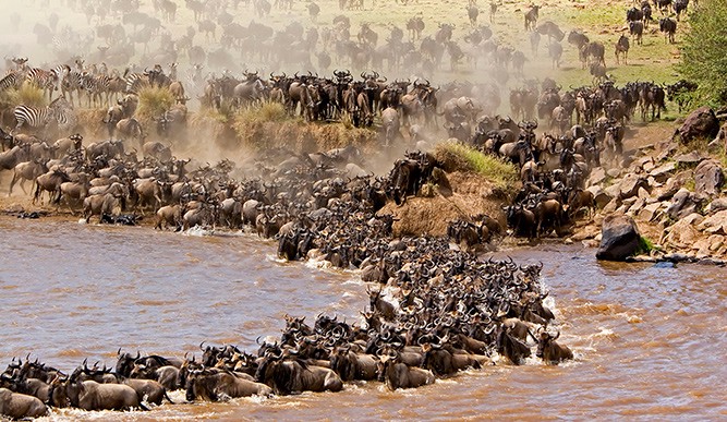 Река Мара, Кения