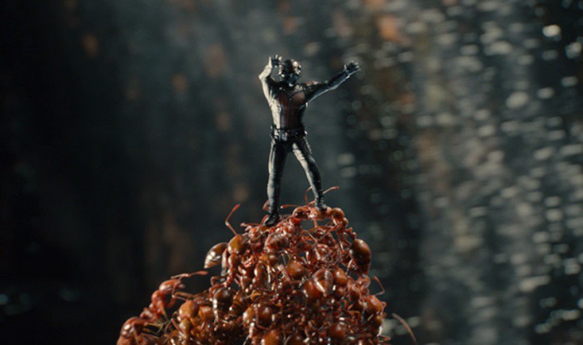„Човекът-мравка“, 2015 
