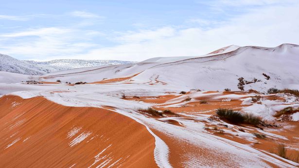 Снежна Сахара