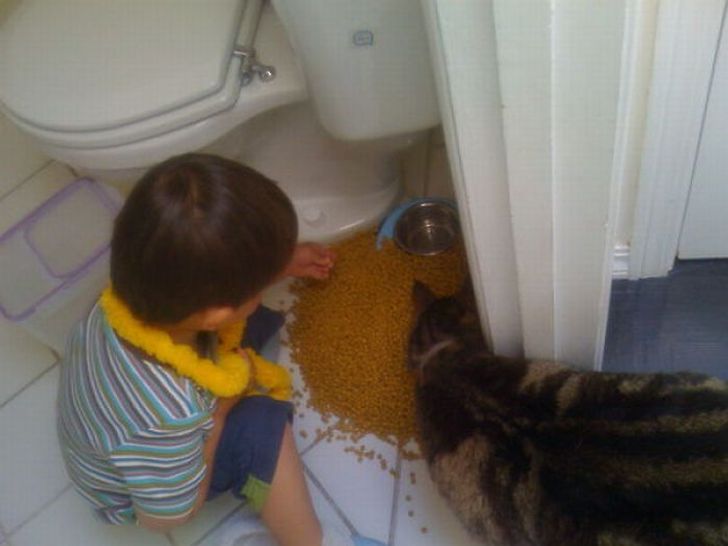 Мамо, аз ще нахраня котката.