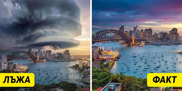 Бурята в Сидни