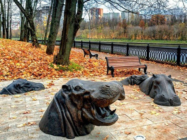 Хипопотами в парка