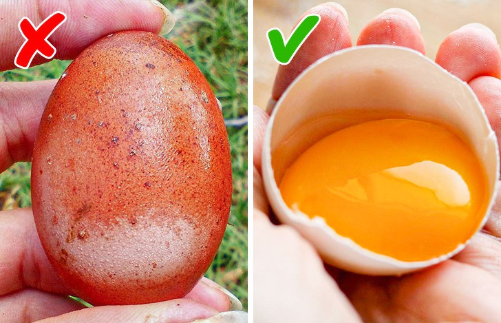 Цветът и формата на яйцето издава много