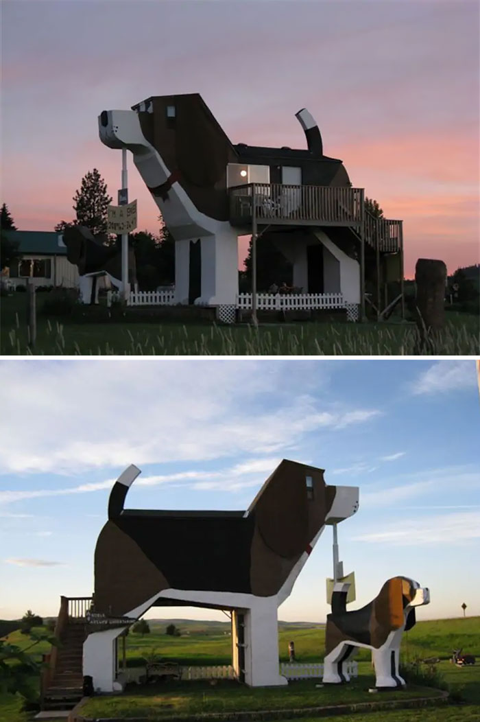 Кучешката къщичка в Монтана