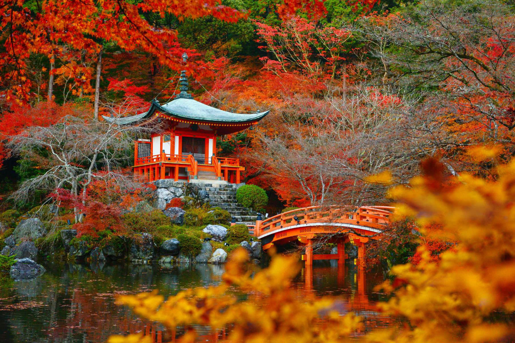 Киото япония. Киото Япония осень. Киото Южная Корея. Киото Япония осень Фудзияма. Южная Корея клены.