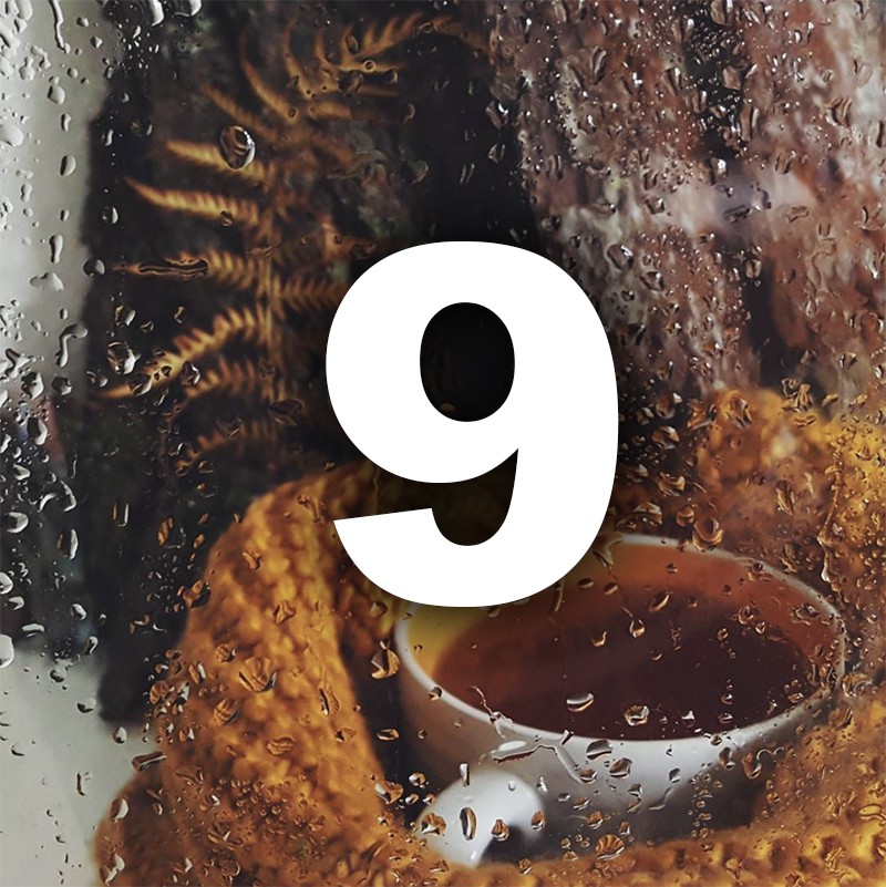 Ноември ти носи