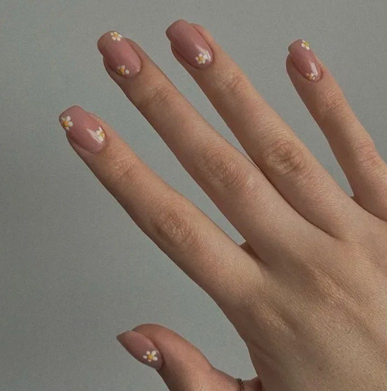 Сладки маргаритки