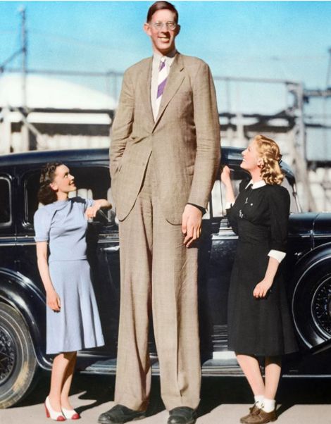 Най-висок мъж на всички времена