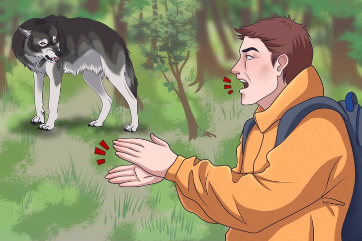 3. Как да оцелеем при атака на вълк