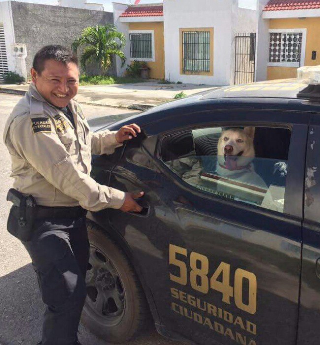 11. Полицаят и кучето