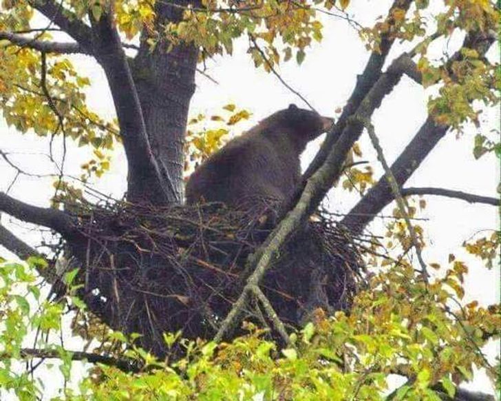 Какво виждаме?