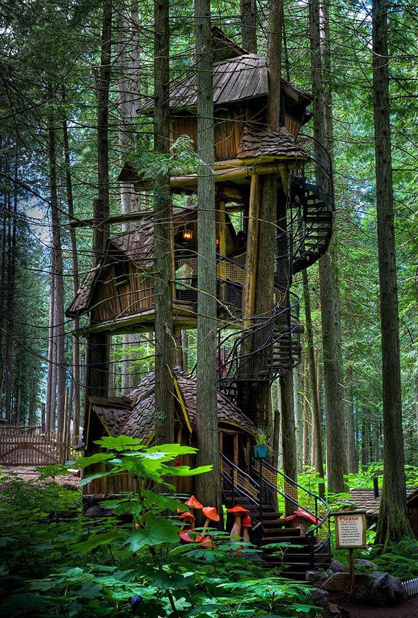 Триетажната къща на дървото, Канада