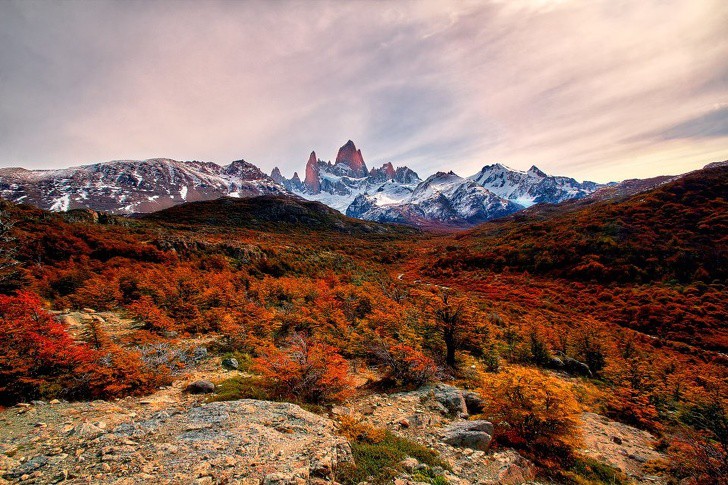 Есен в Патагония (Южна Америка)