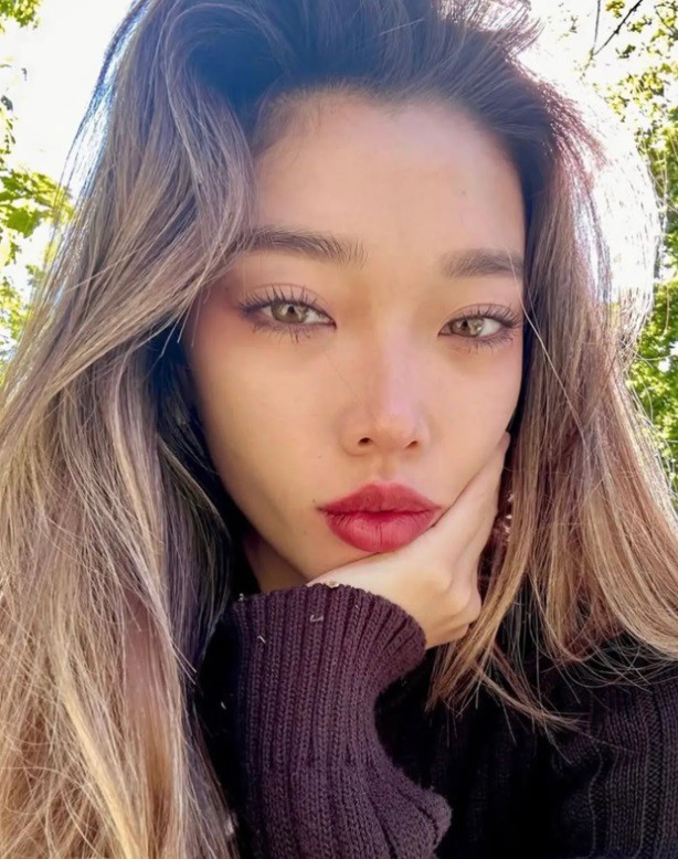 Велурено русо