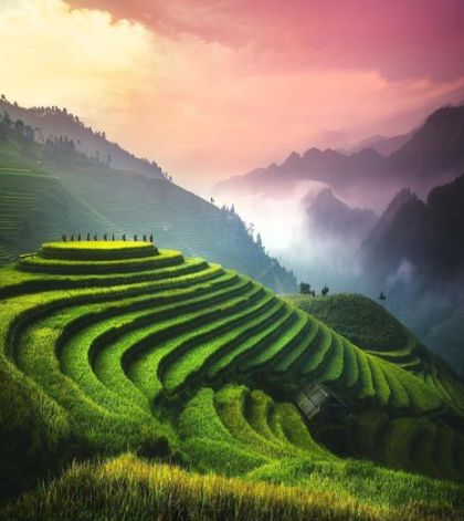 Оризови тераси, Виетнам