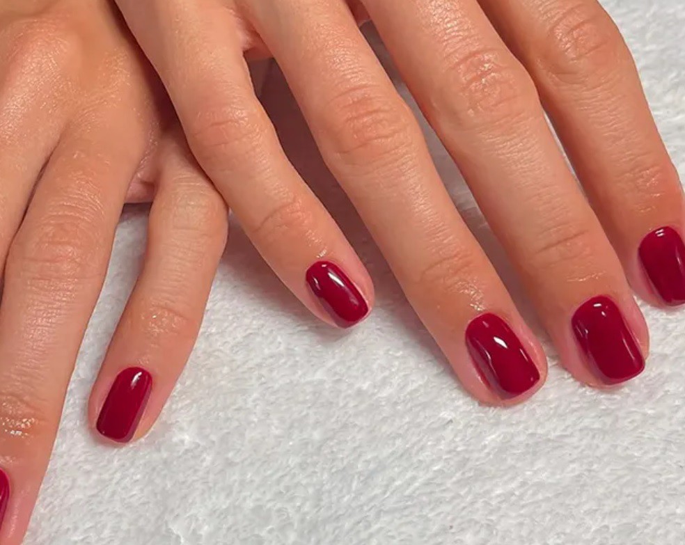 Класическа червена боровинка