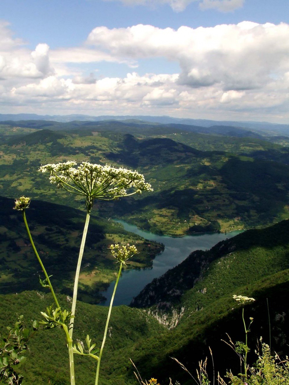 Каньонът над река Тара, Черна гора