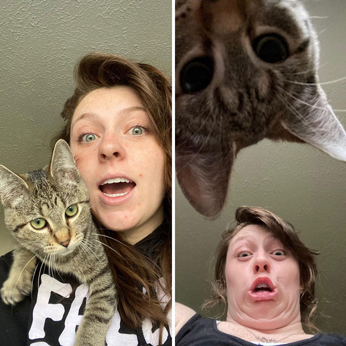 Котката е маце и на двете снимки