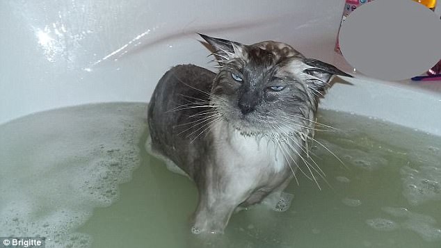 Не искам да се къпя!