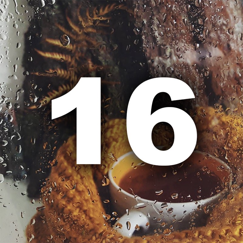 Ноември ти носи