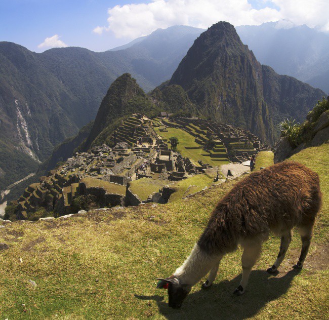 #8 - Перу