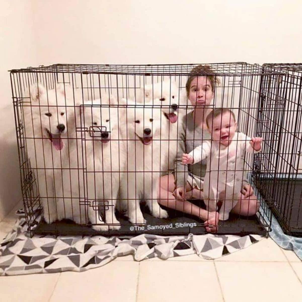 Щастливо семейство