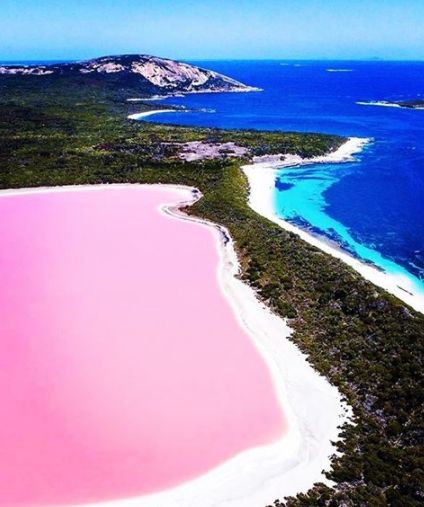 Розовото езеро Хилиър, Австралия