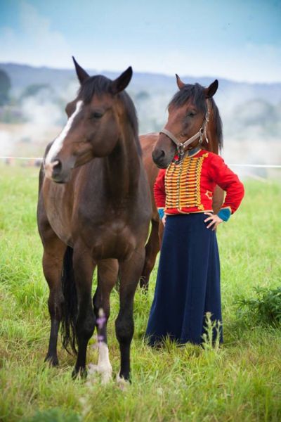 И конете се водят от модните тенденции