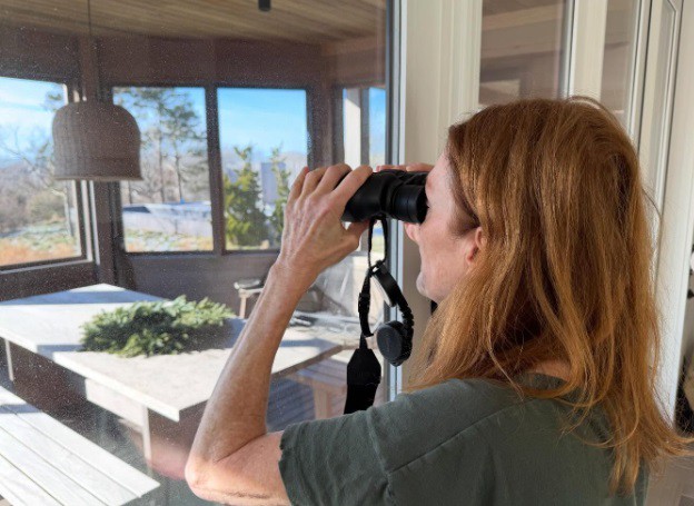 Дълбоко кестеняво-червено