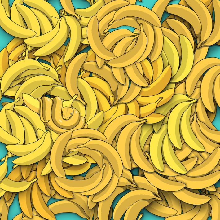 Открийте змията сред бананите