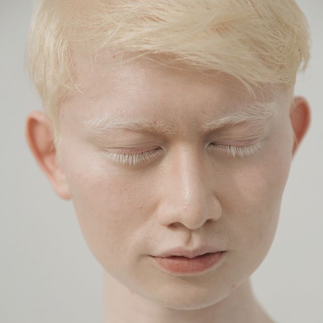 Снежната красота на албиносите
